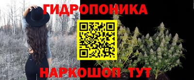 не бодяженный Волгодонск