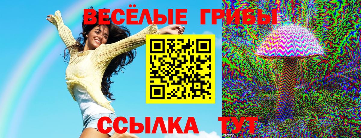 Курчатов  Псилоцибиновые грибы Psilocybine cubensis  Вход с VPN 