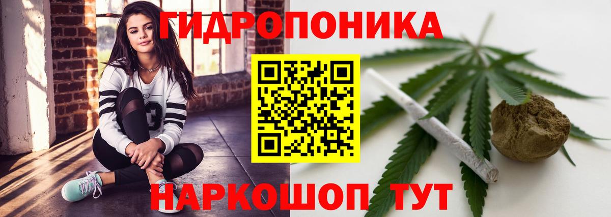 Марихуана White Widow  Бошки марихуана AK-47  Курчатов  Конопля VHQ  Вход с VPN  Конопля марихуана 
